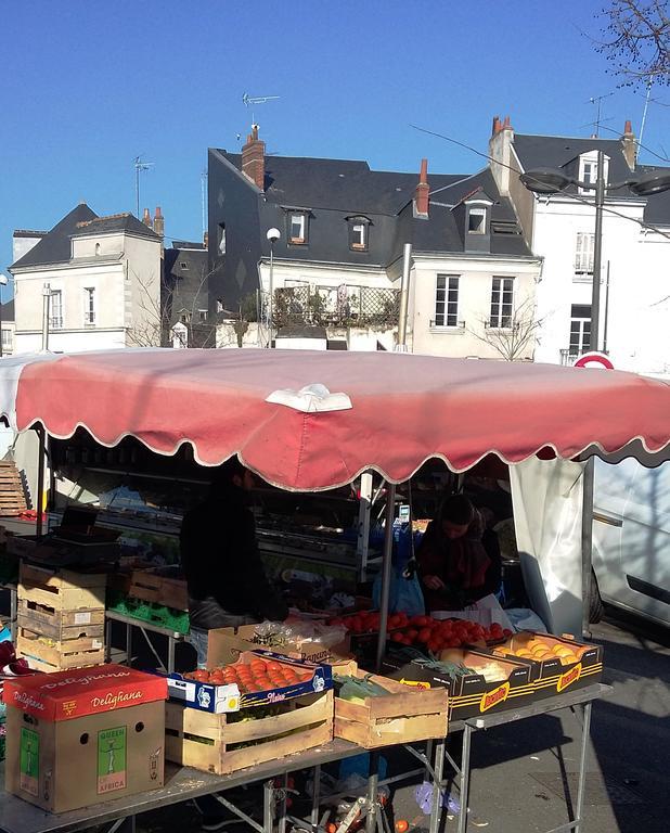 Appartement Loire Valley Tours Kültér fotó